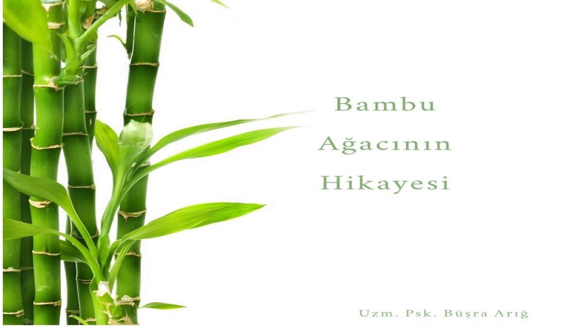 BİR BAMBU HİKAYESİ